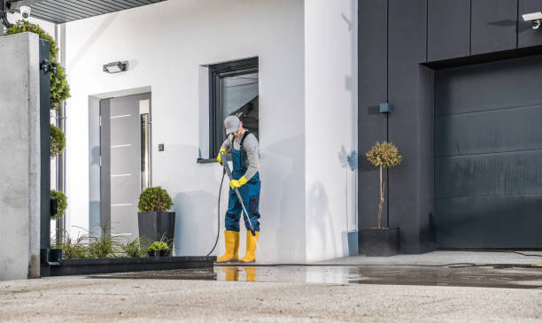 Best Roof Cleaning and Mildew Removal in Clifton Springs, NY